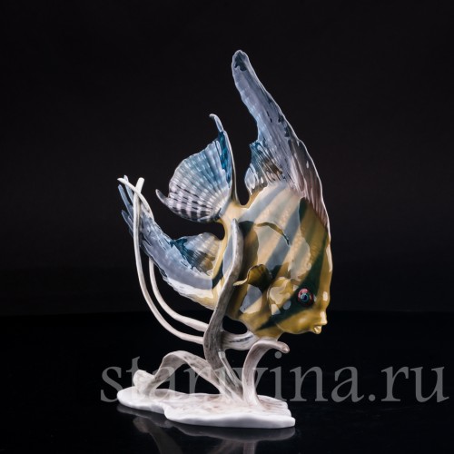 Фарфоровая статуэтка рыбы Скалярия Rosenthal, Германия, 1970 гг.