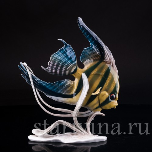 Фарфоровая статуэтка рыбы Скалярия Rosenthal, Германия, 1970 гг.