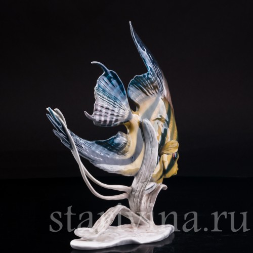 Фарфоровая статуэтка рыбы Скалярия Rosenthal, Германия, 1970 гг.
