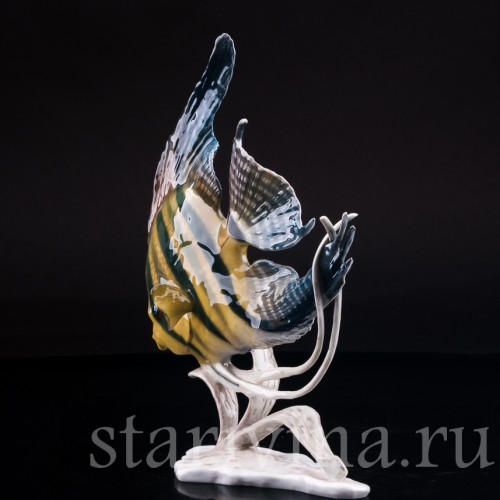 Фарфоровая статуэтка рыбы Скалярия Rosenthal, Германия, 1970 гг.