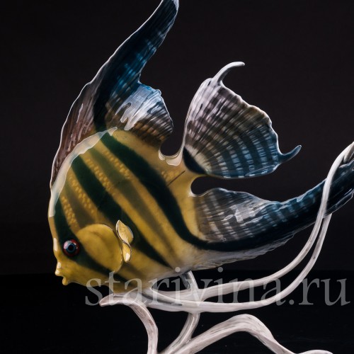 Фарфоровая статуэтка рыбы Скалярия Rosenthal, Германия, 1970 гг.