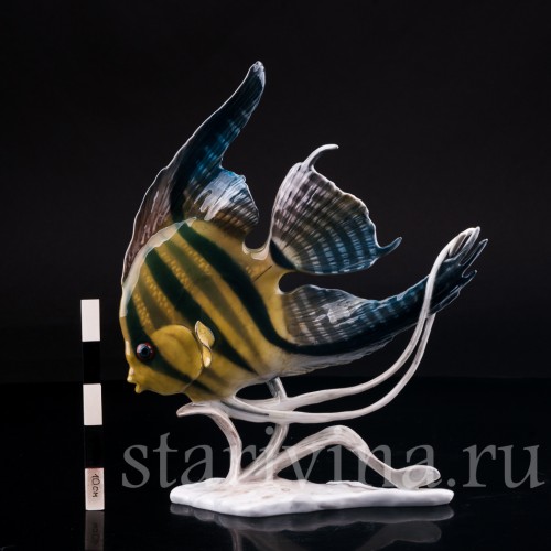 Фарфоровая статуэтка рыбы Скалярия Rosenthal, Германия, 1970 гг.
