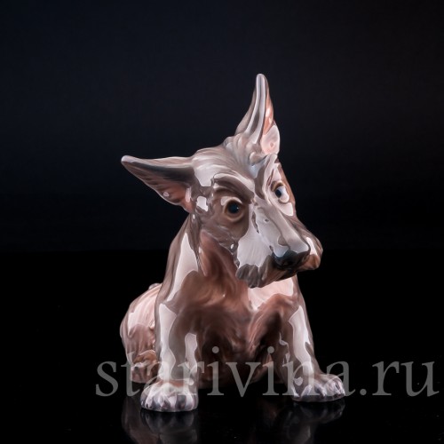 Фигурка собаки из фарфора Терьер, миниатюра, Dahl Jensen, Дания, сер. 20 в.