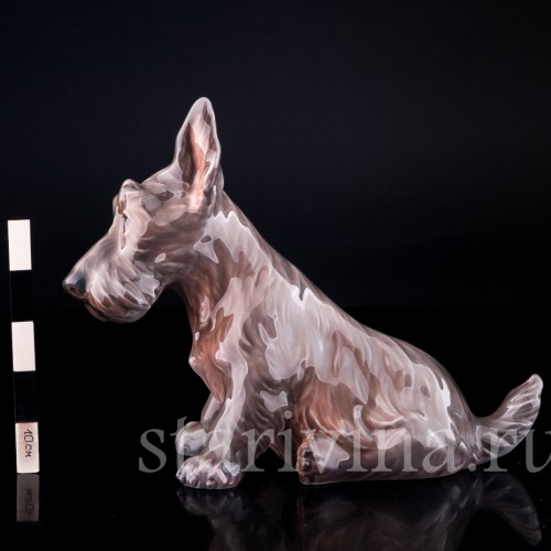 Фигурка собаки из фарфора Терьер, миниатюра, Dahl Jensen, Дания, сер. 20 в.