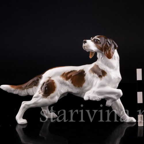 Ирландский сеттер, Hutschenreuther, Германия, 1955-68 гг