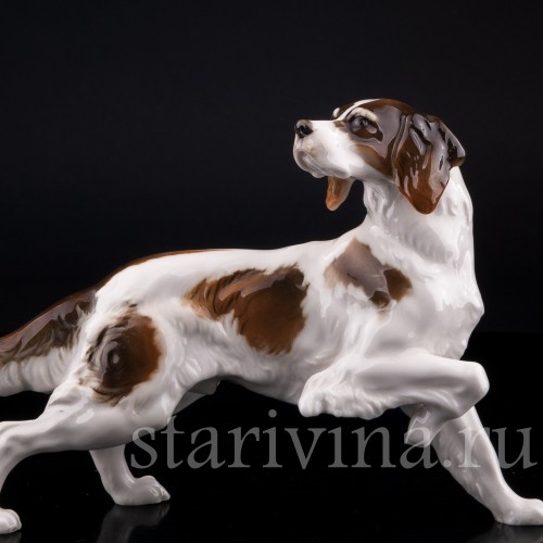 Ирландский сеттер, Hutschenreuther, Германия, 1955-68 гг