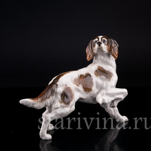 Ирландский сеттер, Hutschenreuther, Германия, 1955-68 гг