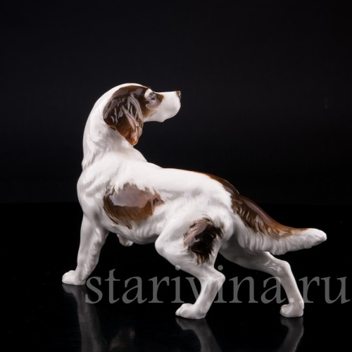 Ирландский сеттер, Hutschenreuther, Германия, 1955-68 гг