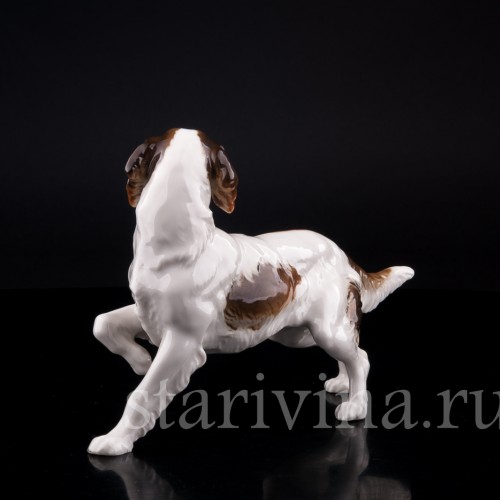 Ирландский сеттер, Hutschenreuther, Германия, 1955-68 гг