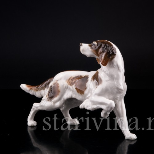 Ирландский сеттер, Hutschenreuther, Германия, 1955-68 гг