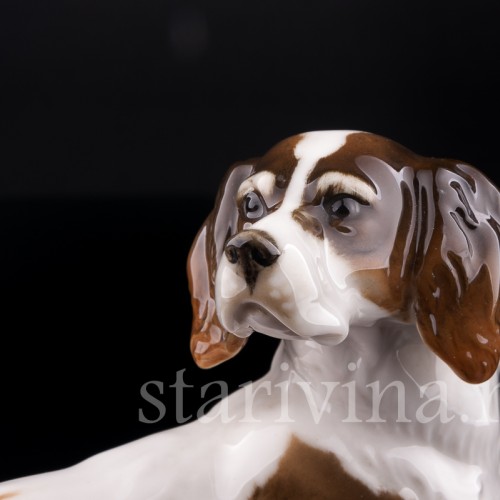 Ирландский сеттер, Hutschenreuther, Германия, 1955-68 гг