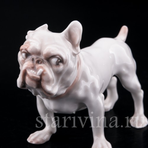 Фигурка собаки из фарфора Английский бульдог, "Забияка", Bing & Grondahl, Дания, сер. 20 века.