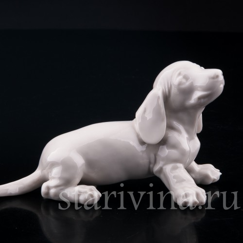 Щенок таксы, Nymphenburg, Германия, вт. пол. 20 в