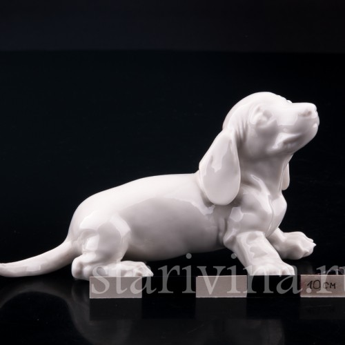 Щенок таксы, Nymphenburg, Германия, вт. пол. 20 в