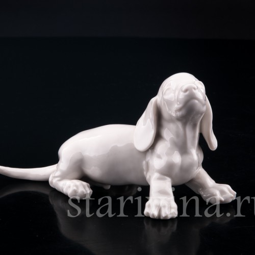 Щенок таксы, Nymphenburg, Германия, вт. пол. 20 в