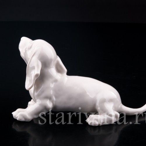 Щенок таксы, Nymphenburg, Германия, вт. пол. 20 в