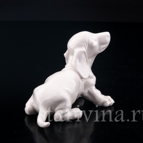 Щенок таксы, Nymphenburg, Германия, вт. пол. 20 в