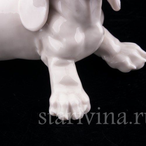 Щенок таксы, Nymphenburg, Германия, вт. пол. 20 в