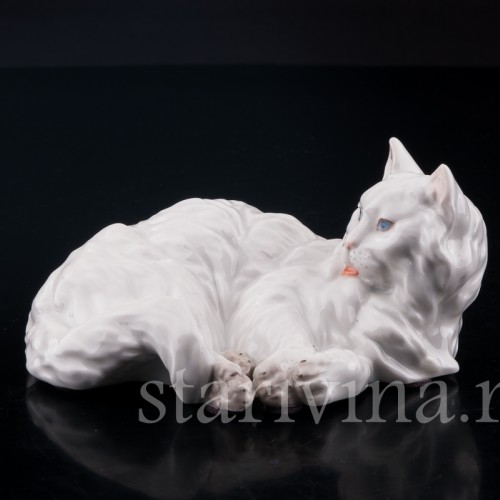 Ангорская кошка, Augarten, Австрия, сер. 20 в