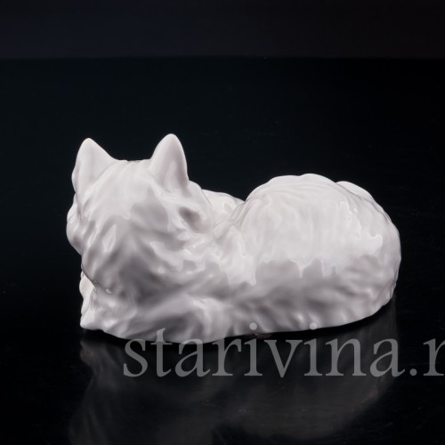 Ангорская кошка, Augarten, Австрия, сер. 20 в