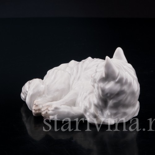 Ангорская кошка, Augarten, Австрия, сер. 20 в