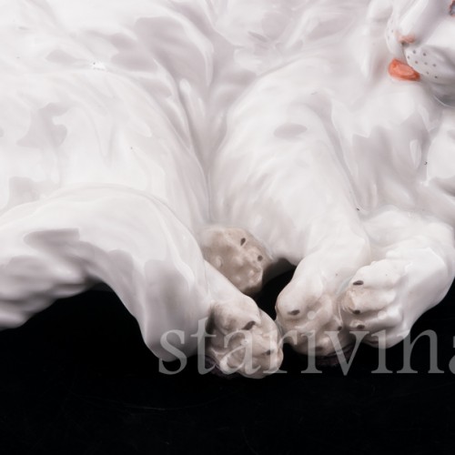 Ангорская кошка, Augarten, Австрия, сер. 20 в