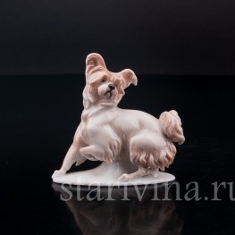 Фарфоровая статуэтка собаки Болонка, миниатюра, Rosenthal, Германия, 1919-22 гг.