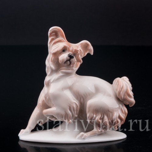 Фарфоровая статуэтка собаки Болонка, миниатюра, Rosenthal, Германия, 1919-22 гг.