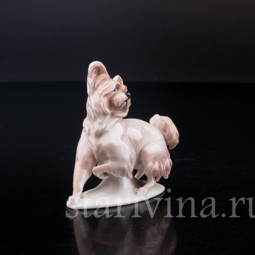 Фарфоровая статуэтка собаки Болонка, миниатюра, Rosenthal, Германия, 1919-22 гг.