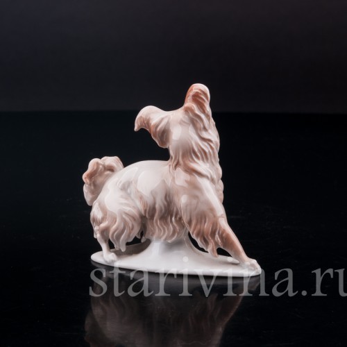 Фарфоровая статуэтка собаки Болонка, миниатюра, Rosenthal, Германия, 1919-22 гг.