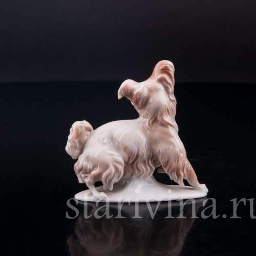 Фарфоровая статуэтка собаки Болонка, миниатюра, Rosenthal, Германия, 1919-22 гг.