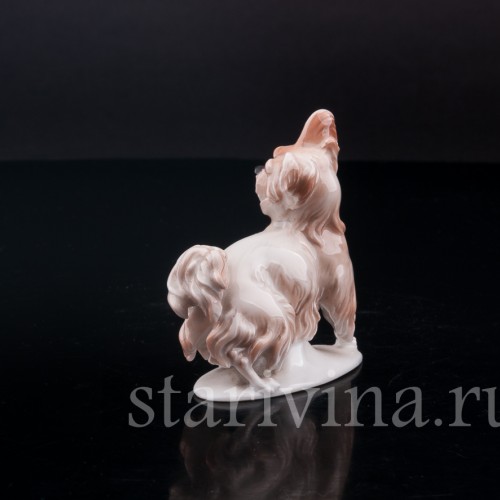 Фарфоровая статуэтка собаки Болонка, миниатюра, Rosenthal, Германия, 1919-22 гг.