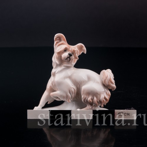 Фарфоровая статуэтка собаки Болонка, миниатюра, Rosenthal, Германия, 1919-22 гг.