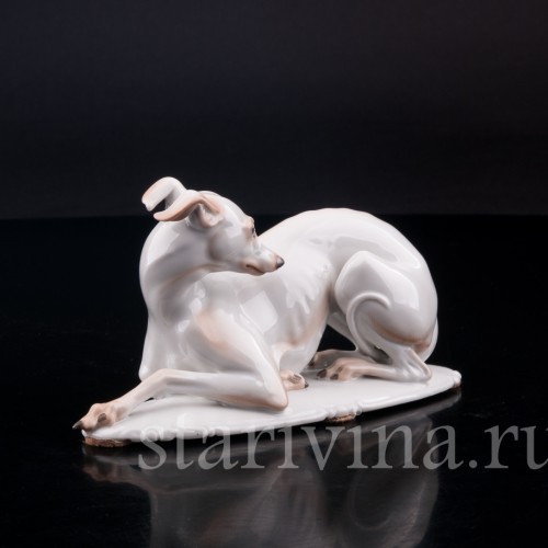 Статуэтка собаки из фарфора Левретка, Rosenthal, Германия, 1935 г.