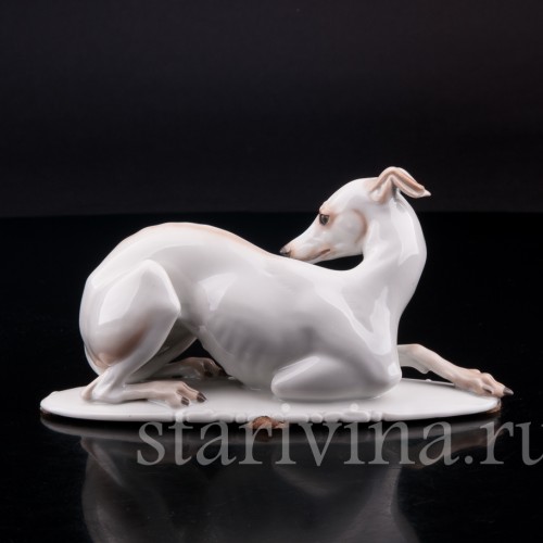 Статуэтка собаки из фарфора Левретка, Rosenthal, Германия, 1935 г.