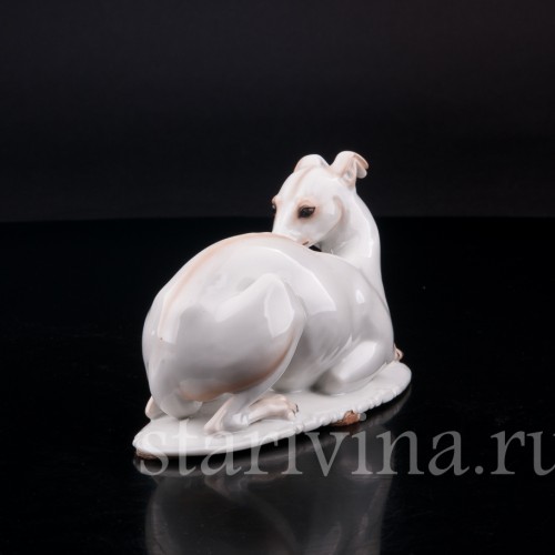 Статуэтка собаки из фарфора Левретка, Rosenthal, Германия, 1935 г.