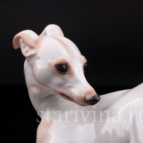 Статуэтка собаки из фарфора Левретка, Rosenthal, Германия, 1935 г.