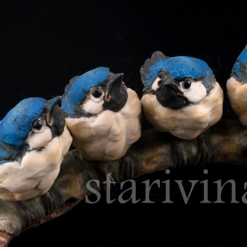 Птенцы на ветке, Capodimonte, Италия, вт. пол. 20 в