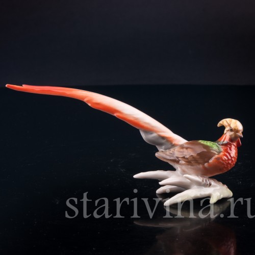 Статуэтка птицы из фарфора Золотой фазан, миниатюра, Hutschenreuther, Германия, 1970 гг..