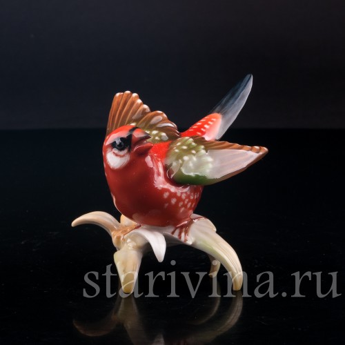 Птица Астрильд тигровый, Hutschenreuther, Германия