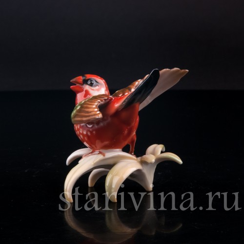 Птица Астрильд тигровый, Hutschenreuther, Германия