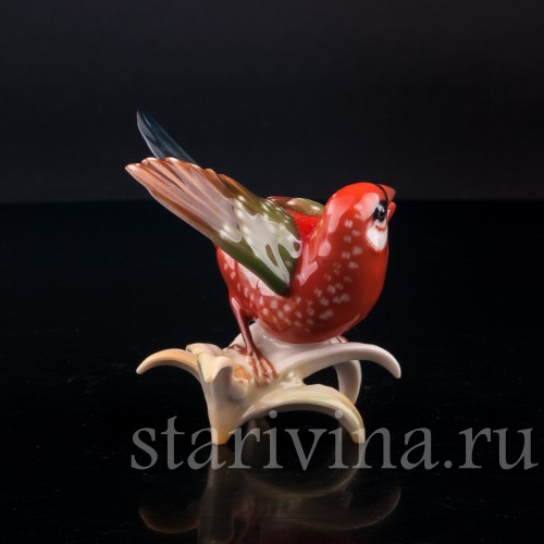 Птица Астрильд тигровый, Hutschenreuther, Германия