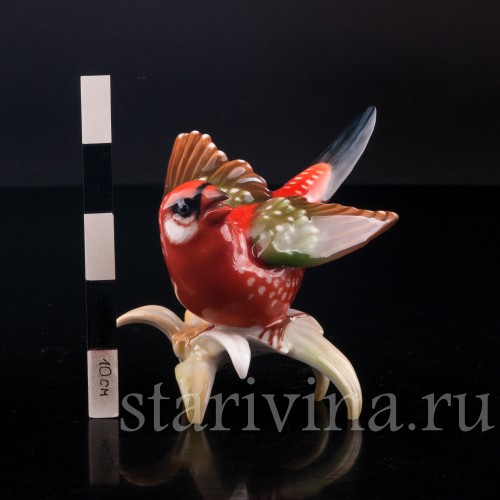 Птица Астрильд тигровый, Hutschenreuther, Германия