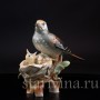 Фарфорвая статуэтка птиц Дрозд рябинник с птенцами, Muller & Co, Германия, пер. пол. 20 в.