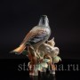 Фарфорвая статуэтка птиц Дрозд рябинник с птенцами, Muller & Co, Германия, пер. пол. 20 в.