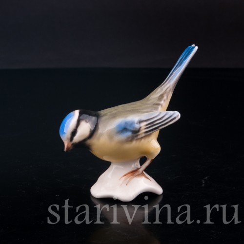 Лазоревка, Goebel, Германия