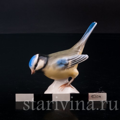 Лазоревка, Goebel, Германия