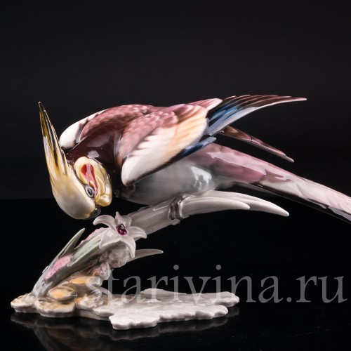 Статуэтка птицы из фарфора Попугай Корелла, Hutschenreuther, Германия, 1955-68 гг.