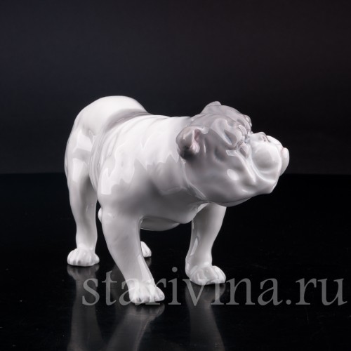 Фигурка собаки из фарфора Английский бульдог, Heubach, Германия, нач. 20 в.