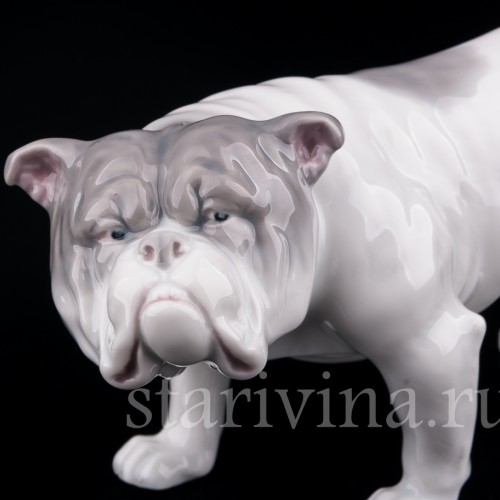 Фигурка собаки из фарфора Английский бульдог, Heubach, Германия, нач. 20 в.